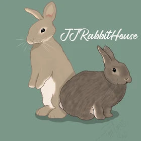 JJRabbitHouse